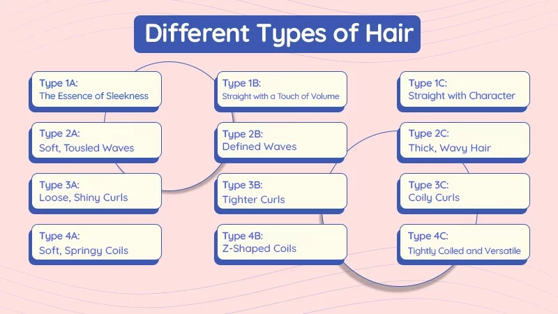 Different Types of Hair