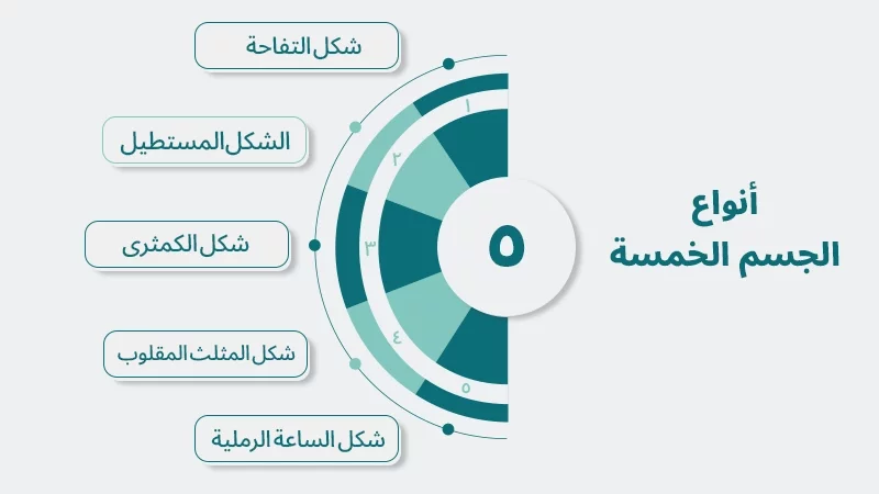 أنواع الجسم الخمسة 